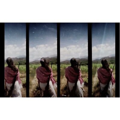 Colectivo Los Ingrávidos