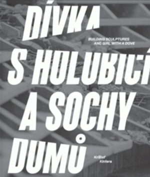 Dívka s holubicí a sochy domů