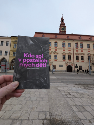 Kdo spí v postelích mých dětí