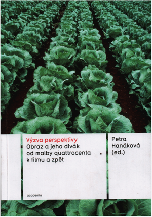 Výzva perspektivy