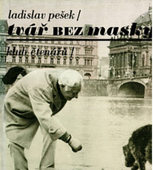 Tvář bez masky