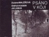 Psáno v kóji