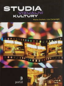 Studia vizuální kultury