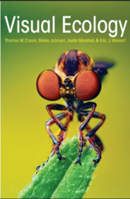 Visual ecology