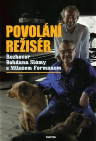 Povolání režisér