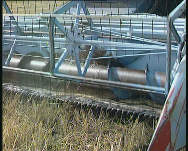 Náš první hospodář