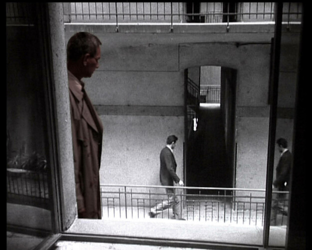 Špión ve městě koní