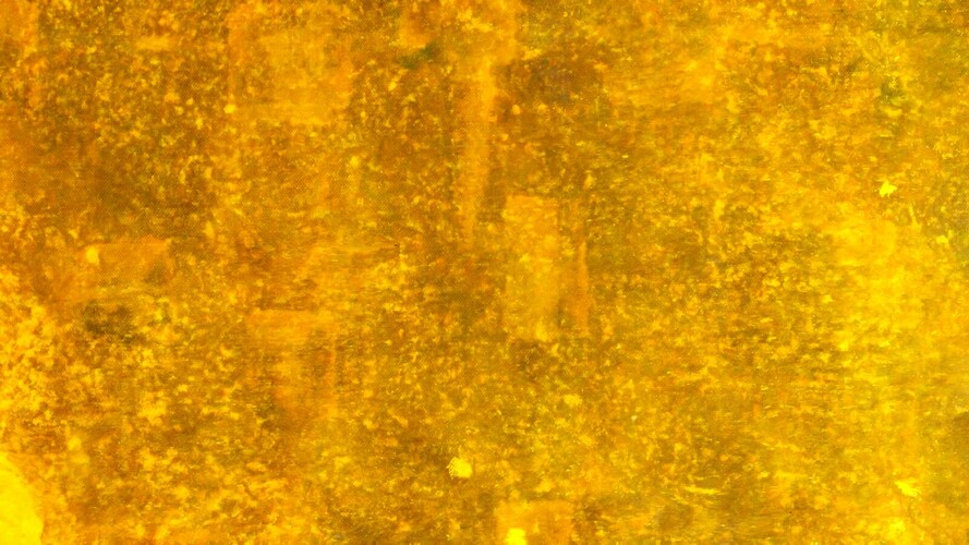 Světlo / zlato, Hawick, květen 2018