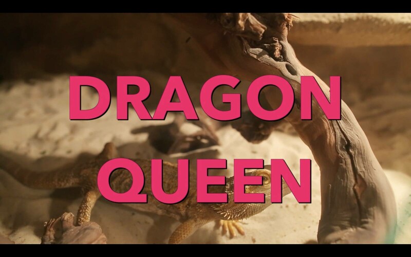 Dragon Queen