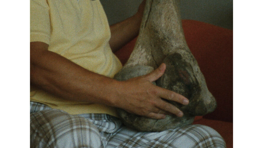 Hrvoji, podívejme se na tebe z věže