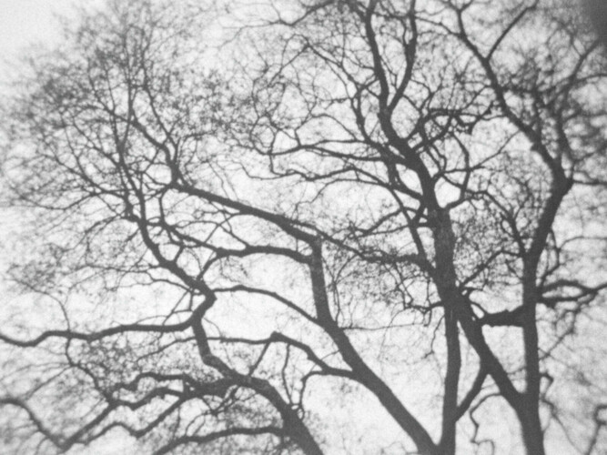 3/60 Stromy na podzim