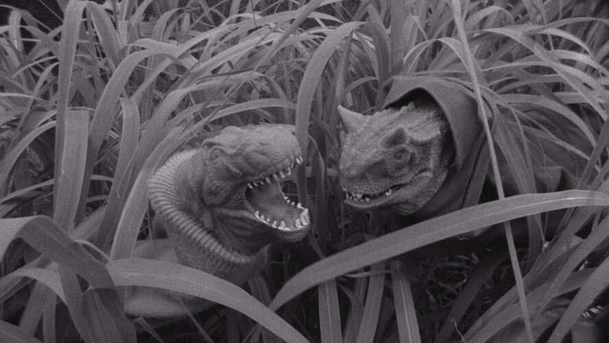 Vraťme se všichni zpátky na zem