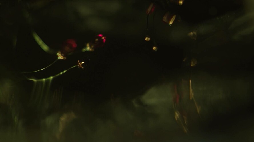 Krásně sviť a krásně hleď, z uší roste krasohled