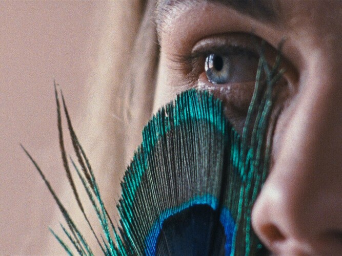 Metamorfóza ptáků