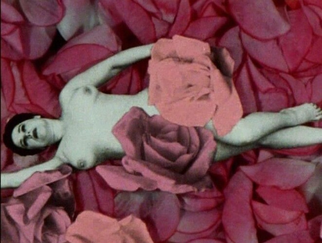 Zahrada v mé hlavě