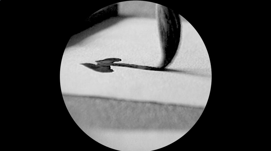 Ve stopách Li Yuan-chia & Deliy Derbyshire