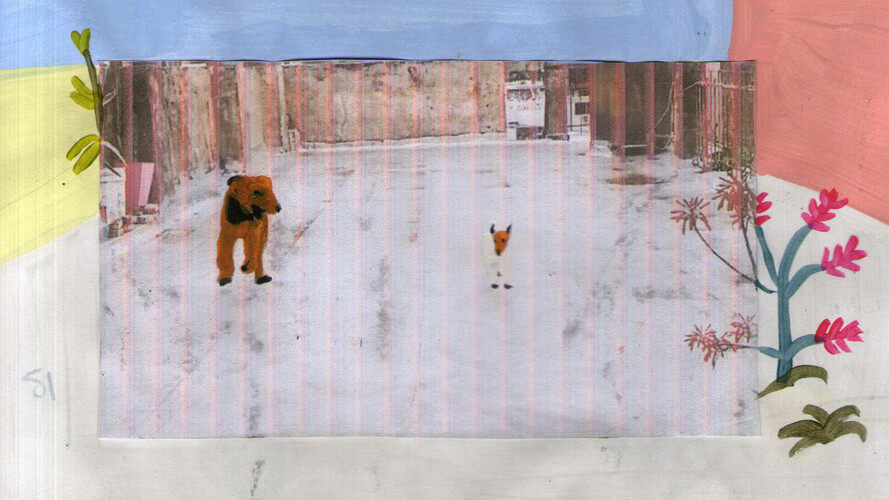 Nezapomeň mě políbit, až se probudíš