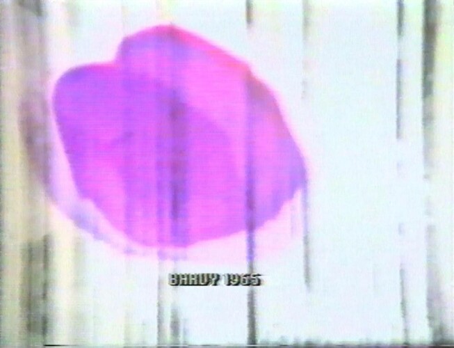 Barvy 1965