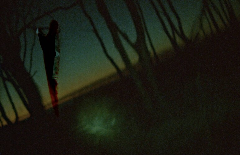 lesy a pobrežia pri zingste