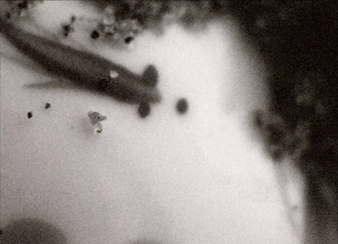 Následuje, Přechází