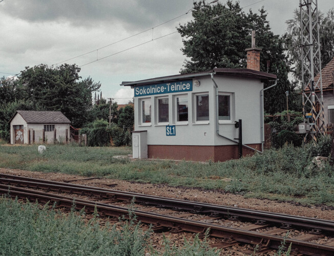 Vlakování
