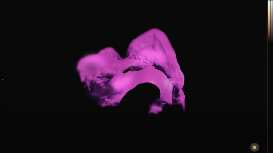 Dělohy a mozky (Hm..fantasy)