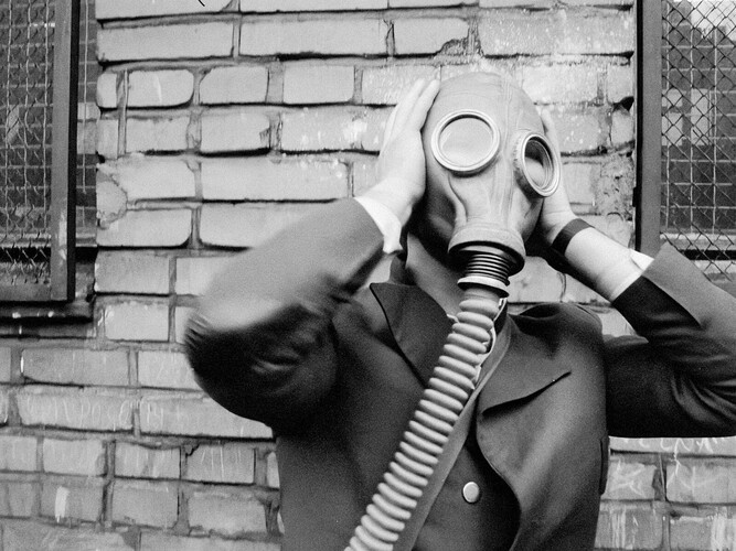 Rok v životě jedné země