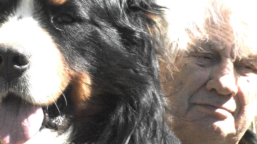 Můj drahý ptáčku