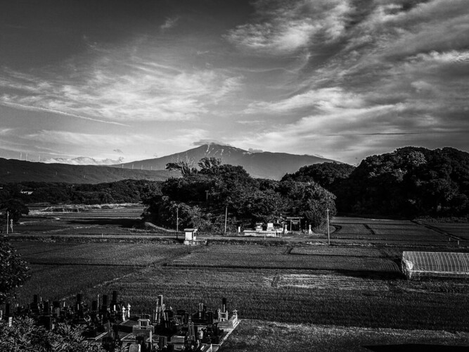 Ukradl jsi mé srdce