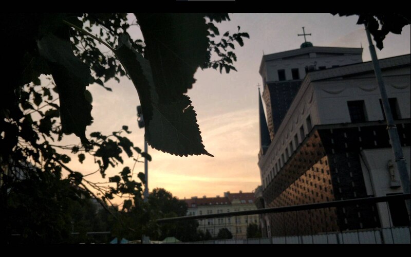 Němý svědek