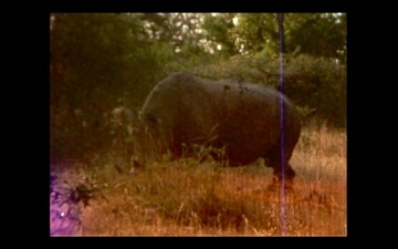 Africká filmová škola