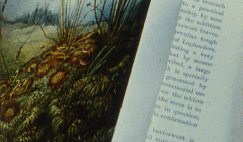 Objevy na lesní půdě 1-3