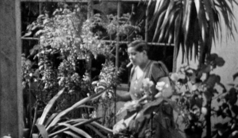 14. března 1938 - Odpoledne