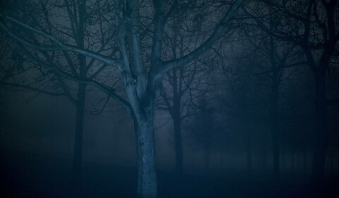 Umírání pro začátečníky / Tónina ticha