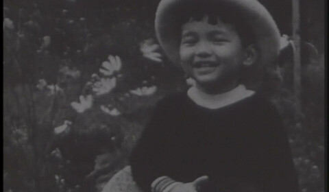 Řeka Tamsui, Náhlý déšť, Brouk, Jaro