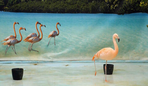 Příroda: Všechna práva vyhrazena