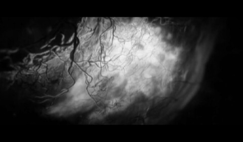 Náhlý dopad x neměnný půvab