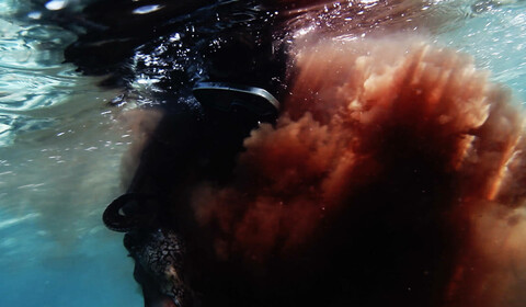 Ach, bratře chobotnice