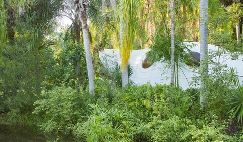 Budoucnost, má láska