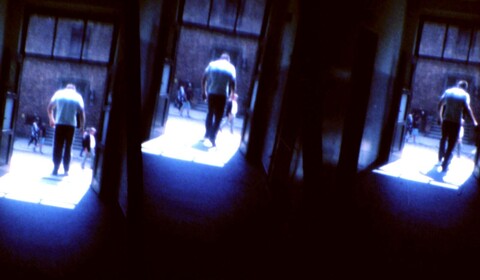 Heidegger in Auschwitz