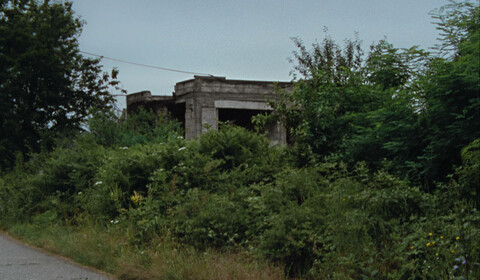 Those Shocking Shaking Days