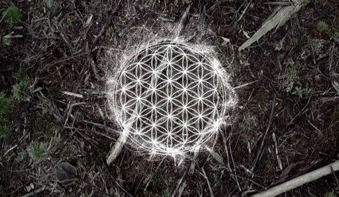 Mimoplanetární vyhodnocení III: Entropie: 25800