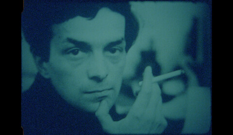 Takovéhle jaro snad ještě nebylo