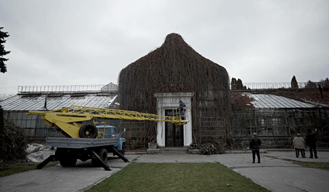 Příběh zimní zahrady