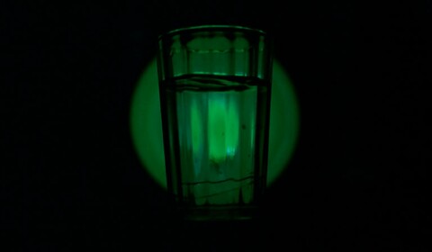 Zelený had - z vodky, mužů a destilovaných snů