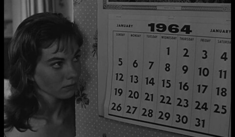 365 dní, také známých jako jeden rok