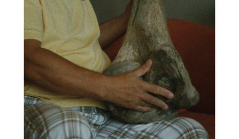 Hrvoji, podívejme se na tebe z věže