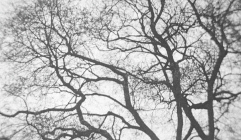 3/60 Stromy na podzim