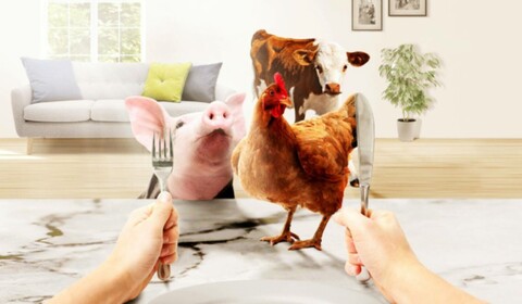 Meat the Family