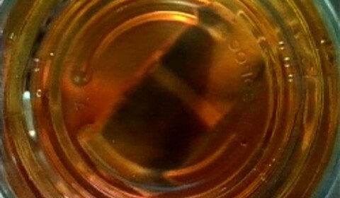 robison nebo já (z Dálného východu)